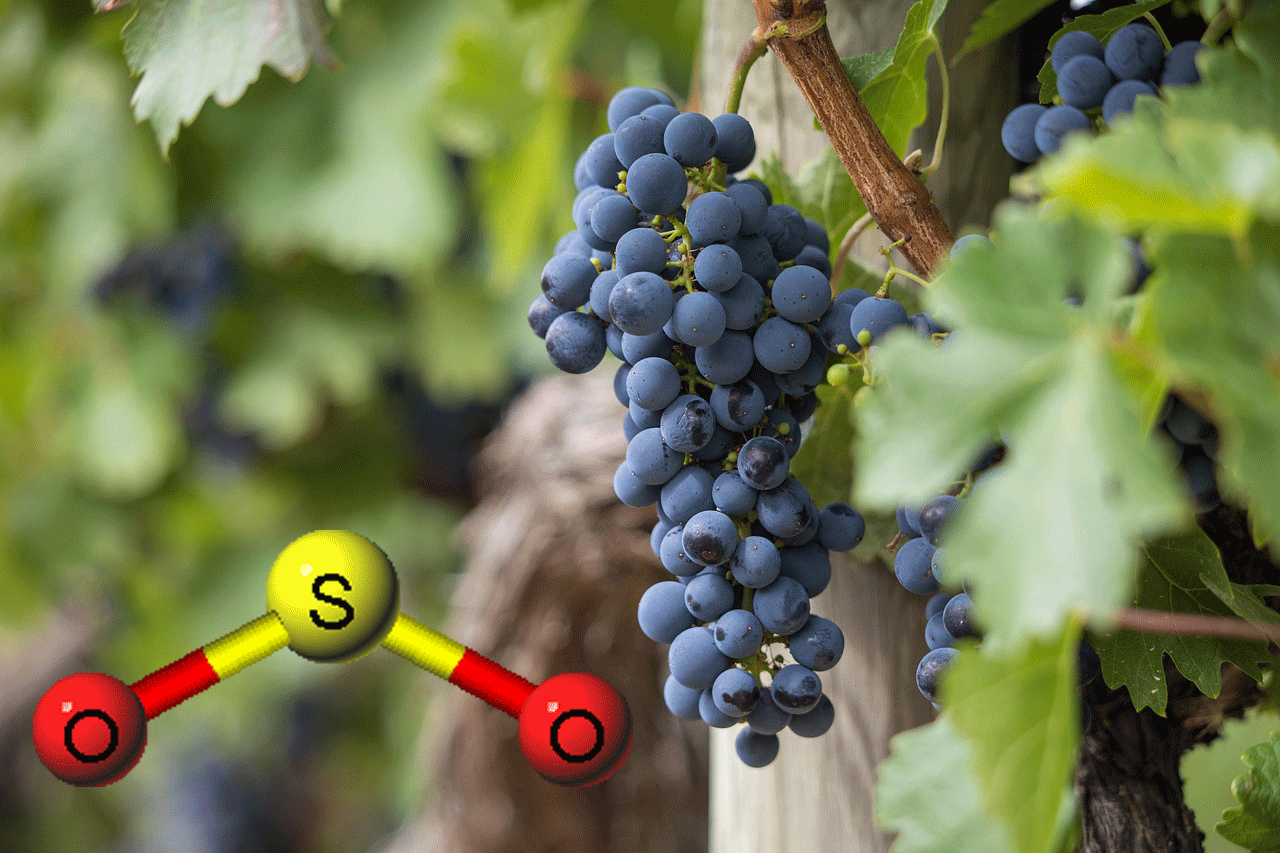 ANIDRIDE SOLFOROSA AD USO ENOLOGICO: PROPRIETA’ E ALTERNATIVE