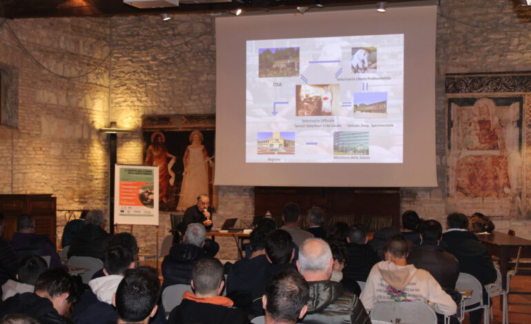 Maxi Assemblea Istituto 15-16 aprile: due giorni di didattica, cultura e sport!!!
